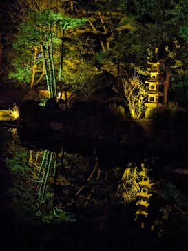 NAKEDヨルモウデ2022平安神宮に投稿された画像（2022/12/19）