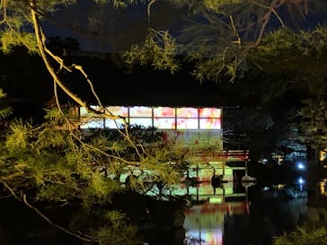 NAKEDヨルモウデ2022平安神宮に投稿された画像（2022/12/19）