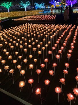 東京メガイルミに投稿された画像（2022/12/19）