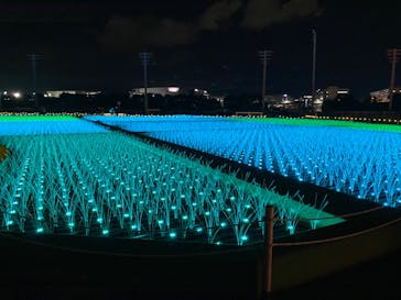 東京メガイルミに投稿された画像（2022/12/19）