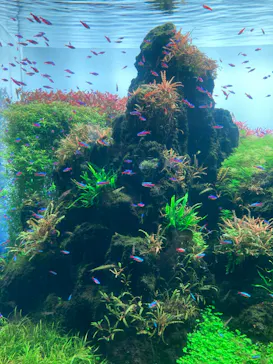 すみだ水族館に投稿された画像（2022/12/19）