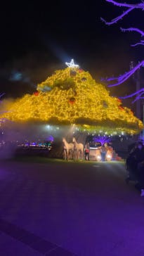 東京メガイルミに投稿された画像（2022/12/19）