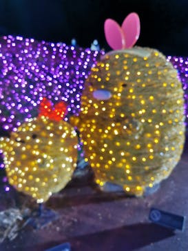 さがみ湖MORI MORIに投稿された画像（2022/12/19）