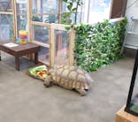 しろとり動物園に投稿された画像（2022/12/20）