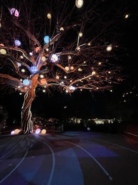 西武園ゆうえんちに投稿された画像（2022/12/20）