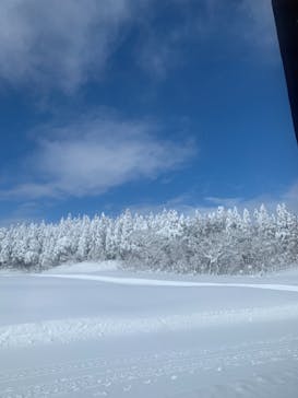 スキージャム勝山に投稿された画像（2022/12/20）