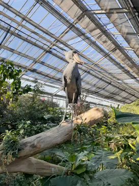 神戸どうぶつ王国に投稿された画像（2022/12/20）