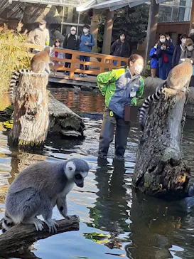 神戸どうぶつ王国に投稿された画像（2022/12/20）