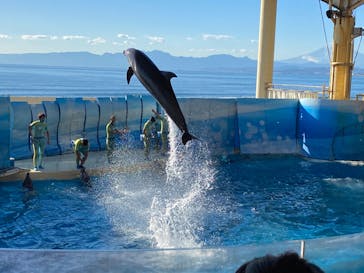 新江ノ島水族館に投稿された画像（2022/12/20）