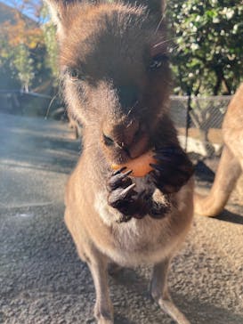 伊豆シャボテン動物公園に投稿された画像（2022/12/20）