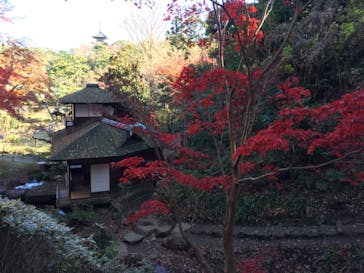 三溪園に投稿された画像（2022/12/20）