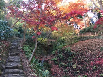 三溪園に投稿された画像（2022/12/20）