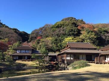 三溪園に投稿された画像（2022/12/20）