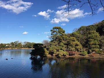 三溪園に投稿された画像（2022/12/20）