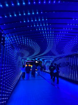 東京メガイルミに投稿された画像（2022/12/20）