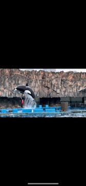 名古屋港水族館に投稿された画像（2022/12/20）