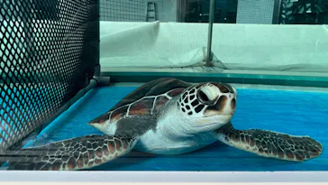 名古屋港水族館に投稿された画像（2022/12/20）