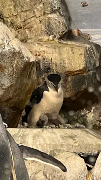 名古屋港水族館に投稿された画像（2022/12/20）