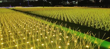 東京メガイルミに投稿された画像（2022/12/14）