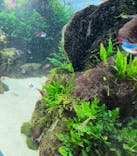 すみだ水族館に投稿された画像（2022/12/20）