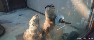 横浜・八景島シーパラダイスに投稿された画像（2022/12/20）