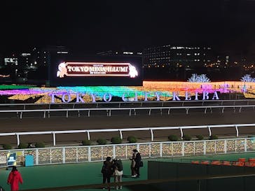 東京メガイルミに投稿された画像（2022/12/20）