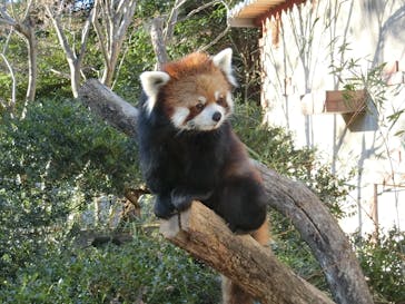 群馬サファリパークに投稿された画像（2022/12/20）