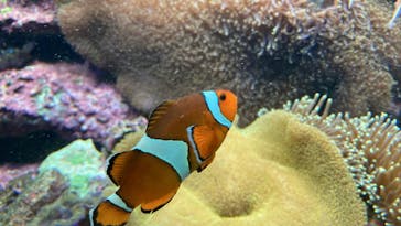 サンシャイン水族館に投稿された画像（2022/12/20）