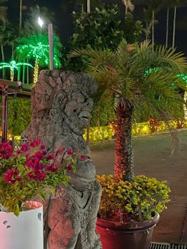 美らヤシパークオキナワ・東南植物楽園に投稿された画像（2022/12/20）