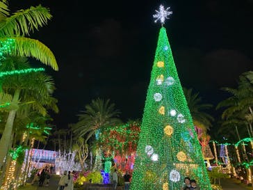 美らヤシパークオキナワ・東南植物楽園に投稿された画像（2022/12/20）