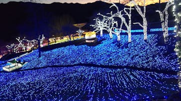 さがみ湖MORI MORIに投稿された画像（2022/12/20）