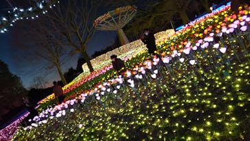 さがみ湖MORI MORIに投稿された画像（2022/12/20）