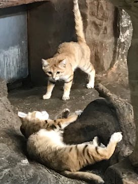 那須どうぶつ王国に投稿された画像（2022/12/20）