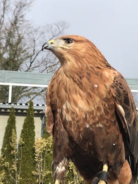 那須どうぶつ王国に投稿された画像（2022/12/20）