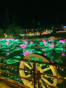 美らヤシパークオキナワ・東南植物楽園に投稿された画像（2022/12/20）