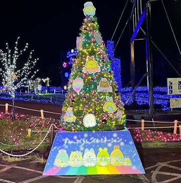 さがみ湖MORI MORIに投稿された画像（2022/12/20）