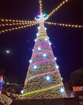 さがみ湖MORI MORIに投稿された画像（2022/12/20）