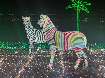 ドライブスルー堺イルミナージュに投稿された画像（2022/12/20）