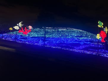 ドライブスルー堺イルミナージュに投稿された画像（2022/12/20）