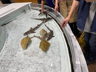 アクアワールド茨城県大洗水族館に投稿された画像（2022/12/20）