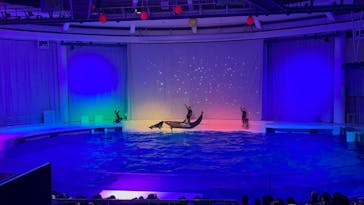 アクアワールド茨城県大洗水族館に投稿された画像（2022/12/20）