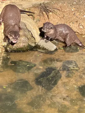 神戸どうぶつ王国に投稿された画像（2022/12/20）