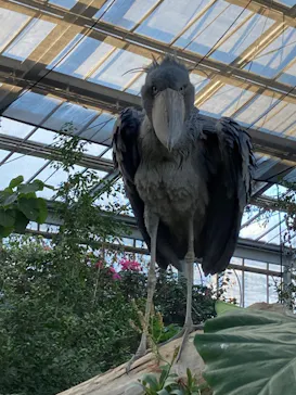 神戸どうぶつ王国に投稿された画像（2022/12/20）