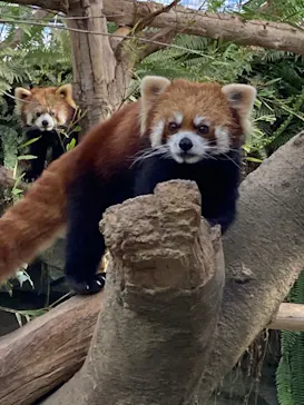 神戸どうぶつ王国に投稿された画像（2022/12/20）