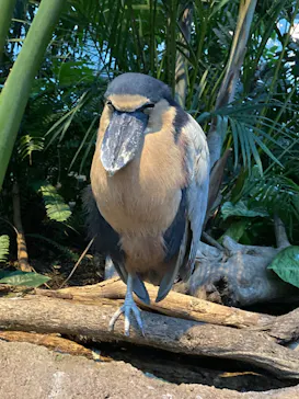 神戸どうぶつ王国に投稿された画像（2022/12/20）