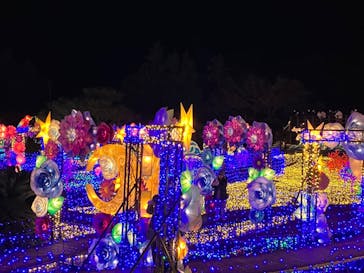 伊豆ぐらんぱる公園に投稿された画像（2022/12/20）