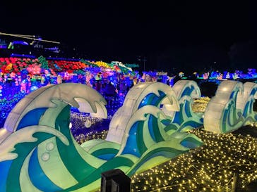 伊豆ぐらんぱる公園に投稿された画像（2022/12/20）