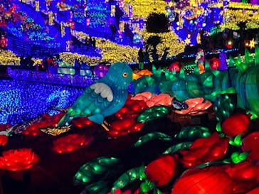 伊豆ぐらんぱる公園に投稿された画像（2022/12/20）