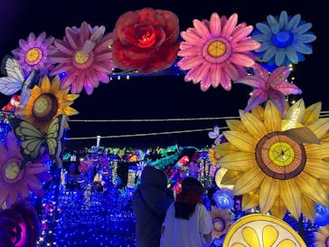 伊豆ぐらんぱる公園に投稿された画像（2022/12/20）