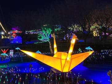 伊豆ぐらんぱる公園に投稿された画像（2022/12/20）